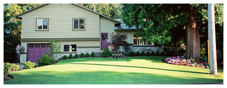 Fabulous Flower Beds Banner