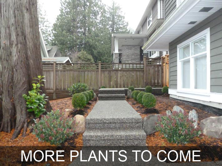 Concrete Walkway 1