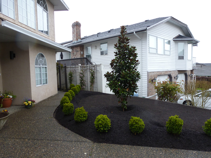Front Yard Makeover 10