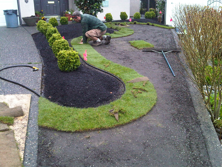 Front Yard Makeover 13