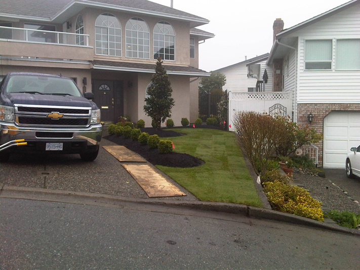 Front Yard Makeover 14