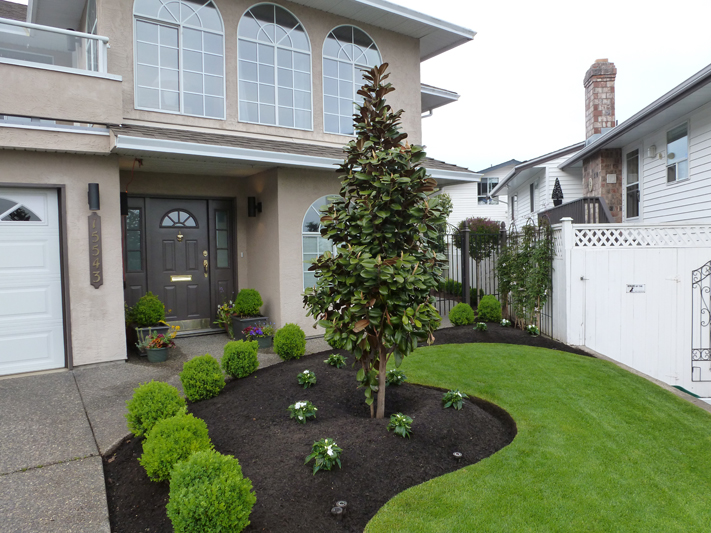 Front Yard Makeover 18