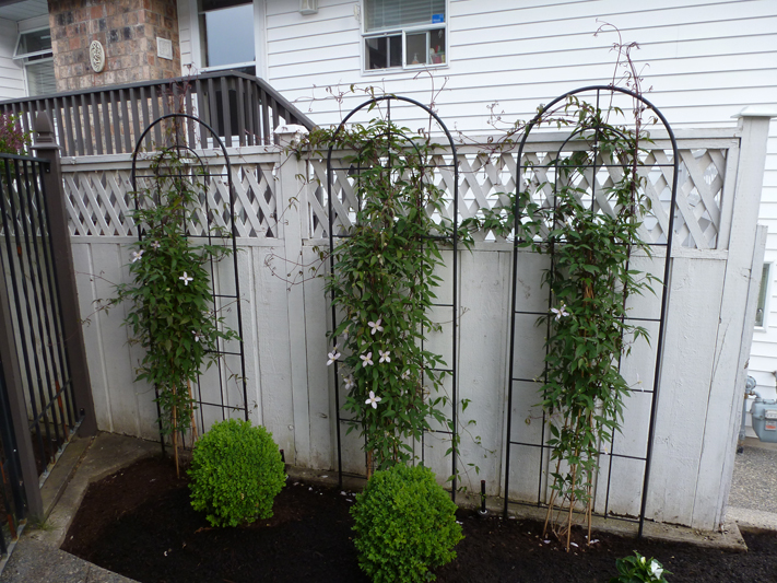 Front Yard Makeover 23