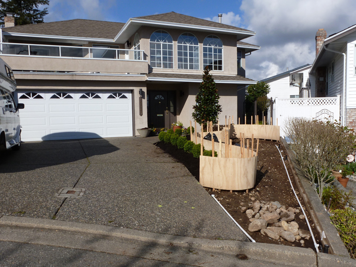Front Yard Makeover 6
