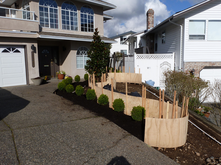 Front Yard Makeover 8