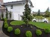 Front Yard Makeover 17