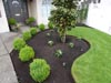 Front Yard Makeover 19