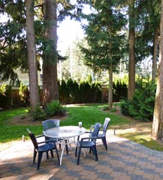 Back Yard Makeover - Before