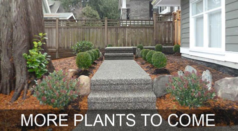 Exposed Aggregate Concrete Walkway - After