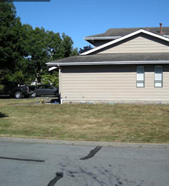 Flower Bed Makeover - Before
