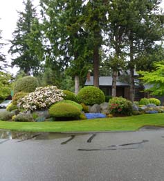 Front Yard Makeover - Before